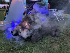 Wachwildschwein regelt das Family Camp grausam und erhaben