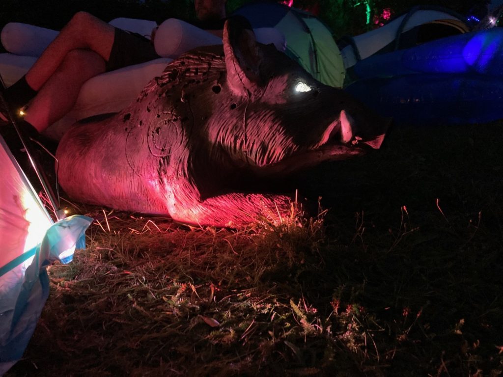 Schwein, nachts, illuminiert